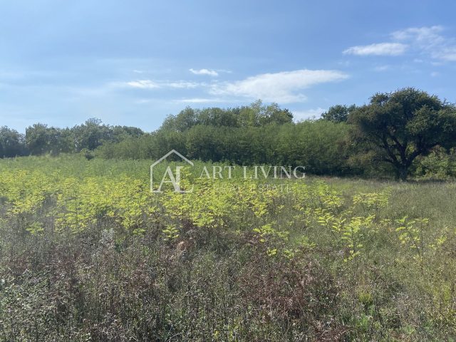 Pozemek na prodej 3700 m² – Umag