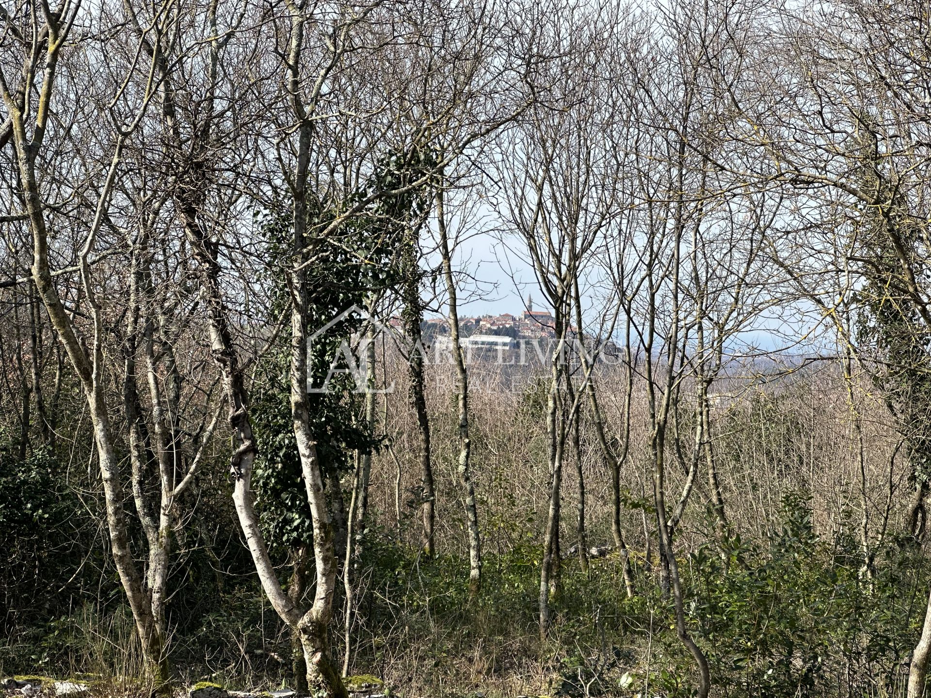 Terreno In vendita -  Grožnjan