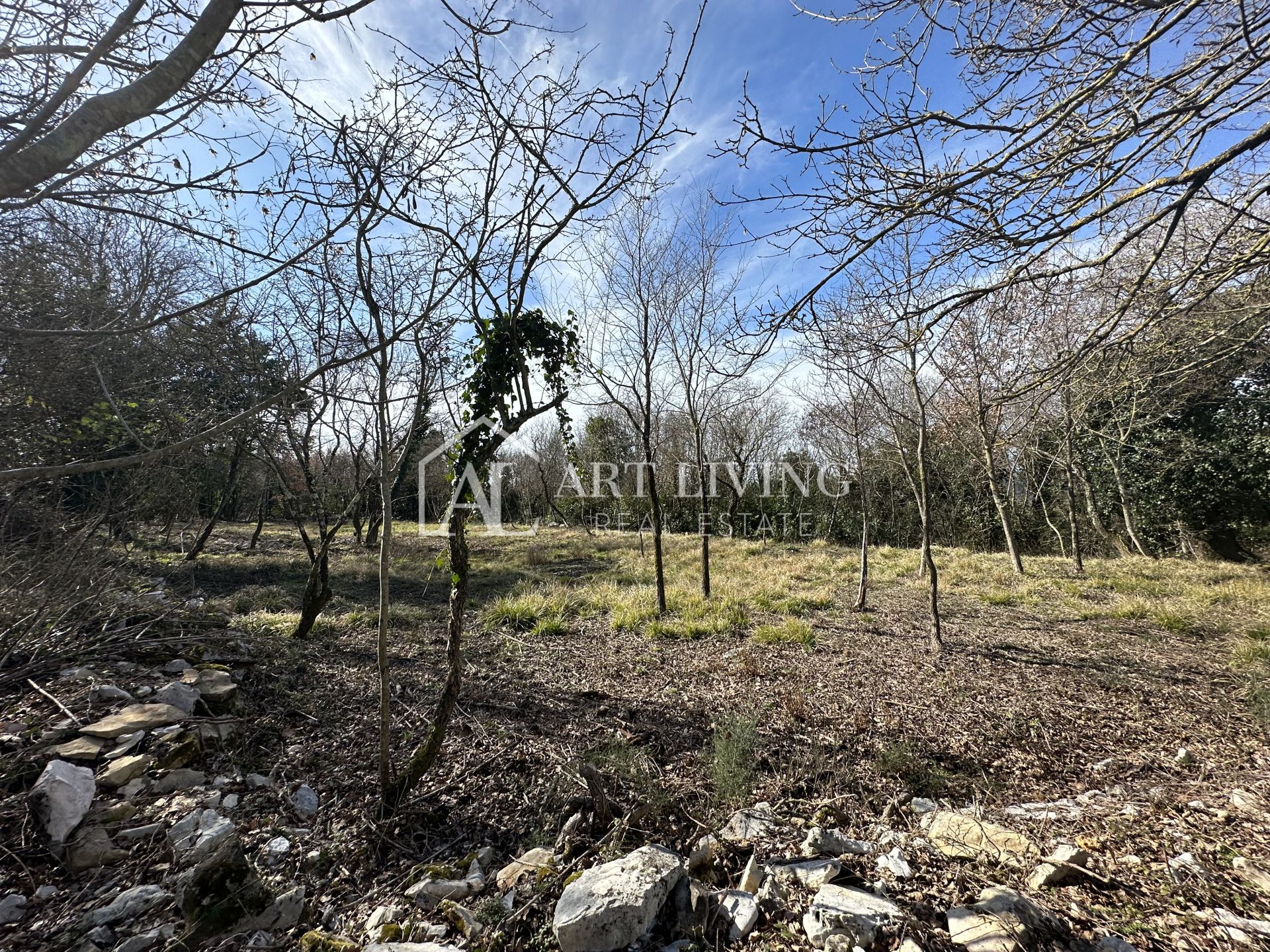 Terreno In vendita -  Grožnjan