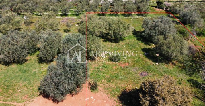 Pozemek na prodej 1250 m² – Buje