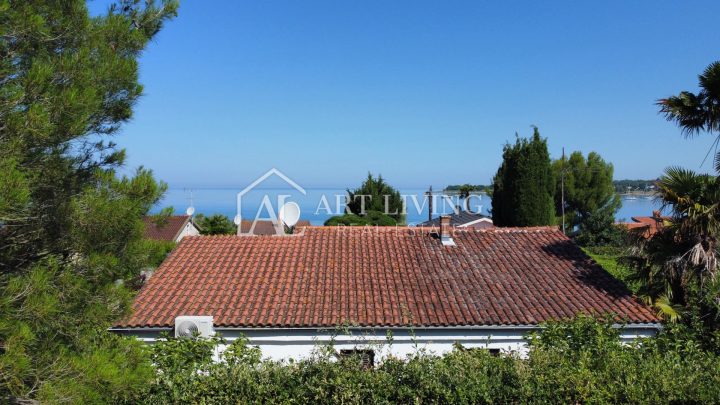 Haus Zu verkaufen - Novigrad - foto 4/38
