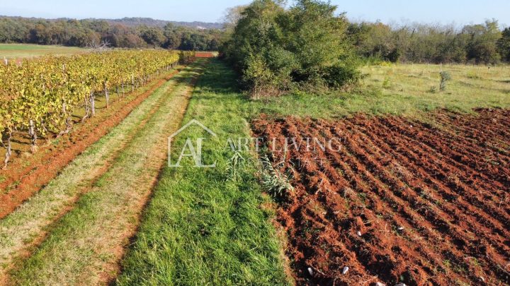 Działka na sprzedaż 2400 m² – Umag