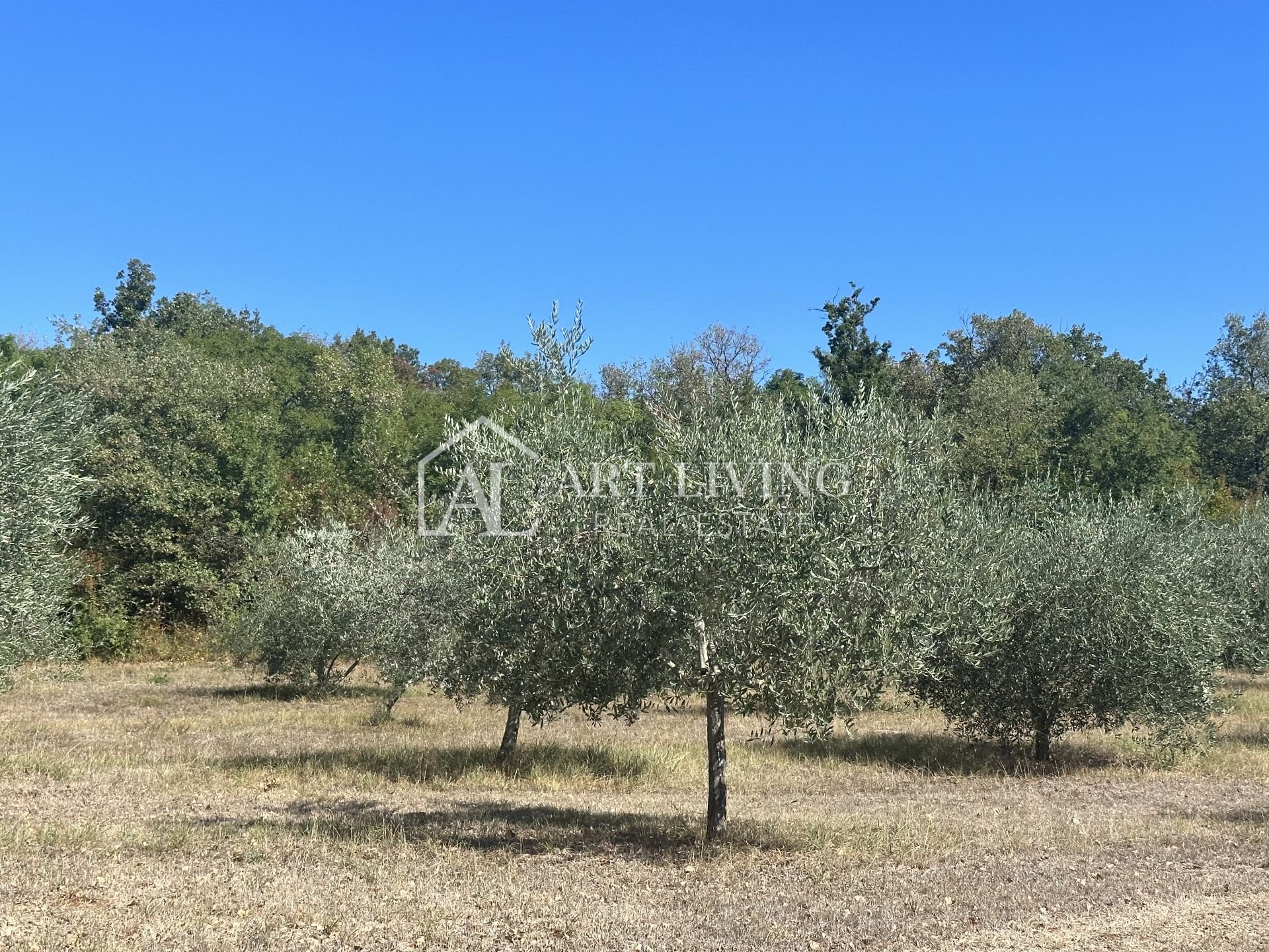 Land For sale - Istarska Poreč