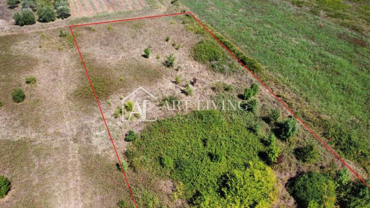 Terrain À vendre - Istarska Umag - foto 3/8