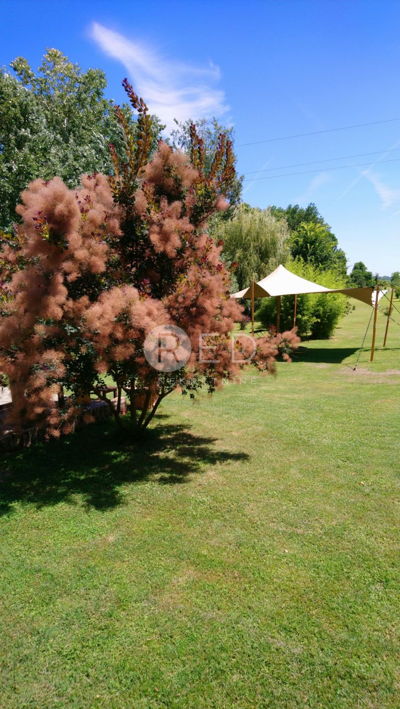 House For sale - Osječko-baranjska Kneževi Vinogradi