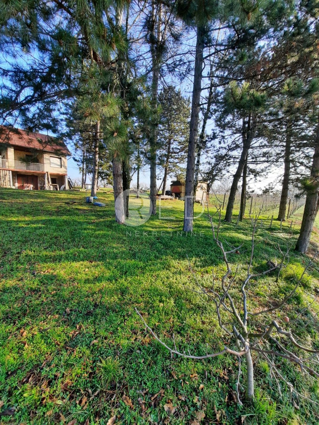 House For sale - Osječko-baranjska Kneževi Vinogradi