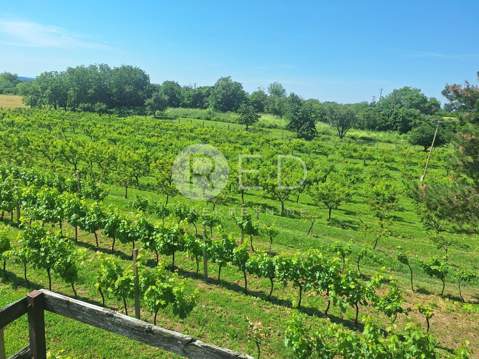 House For sale - Osječko-baranjska Kneževi Vinogradi