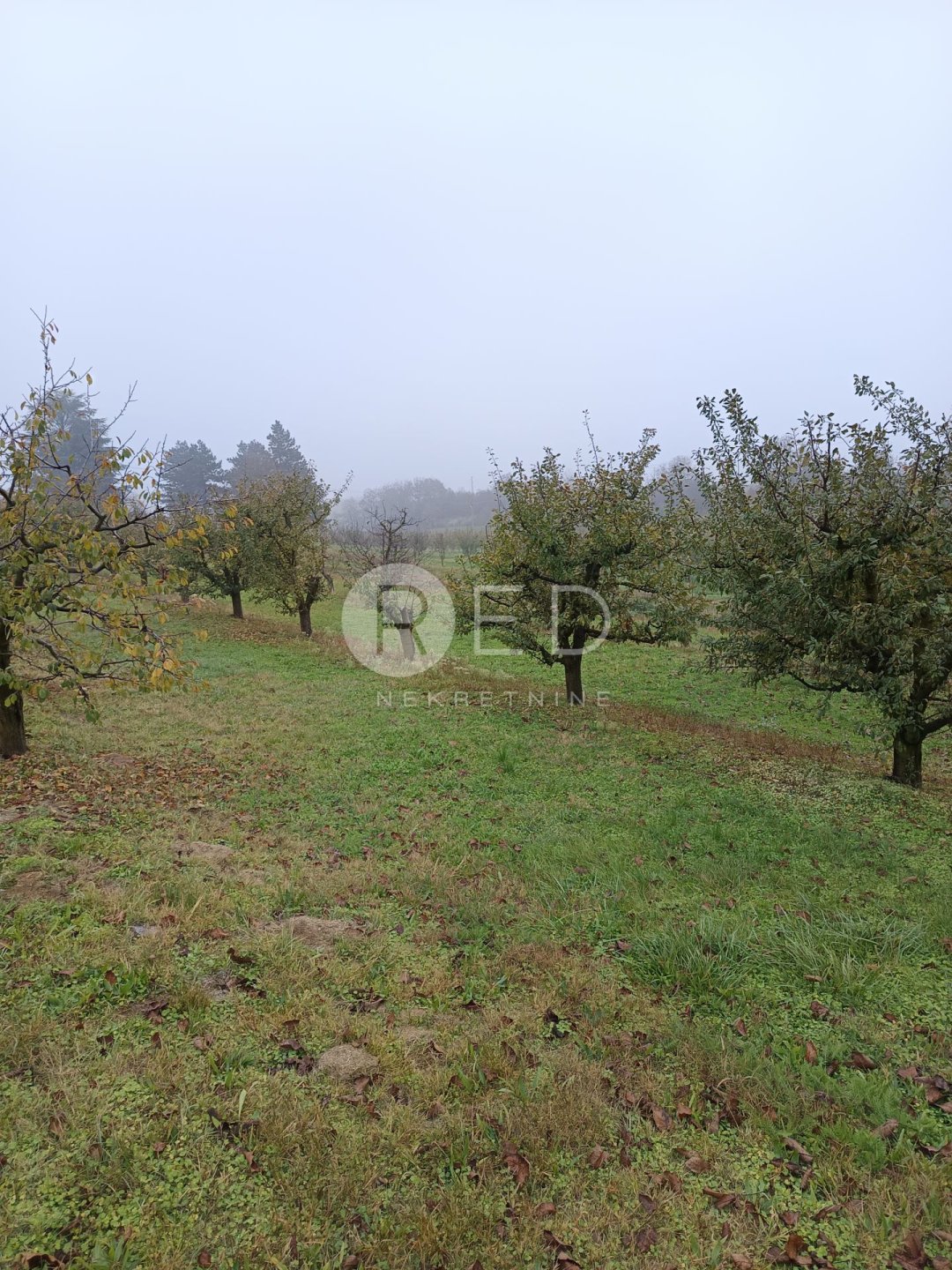 House For sale - Osječko-baranjska Kneževi Vinogradi