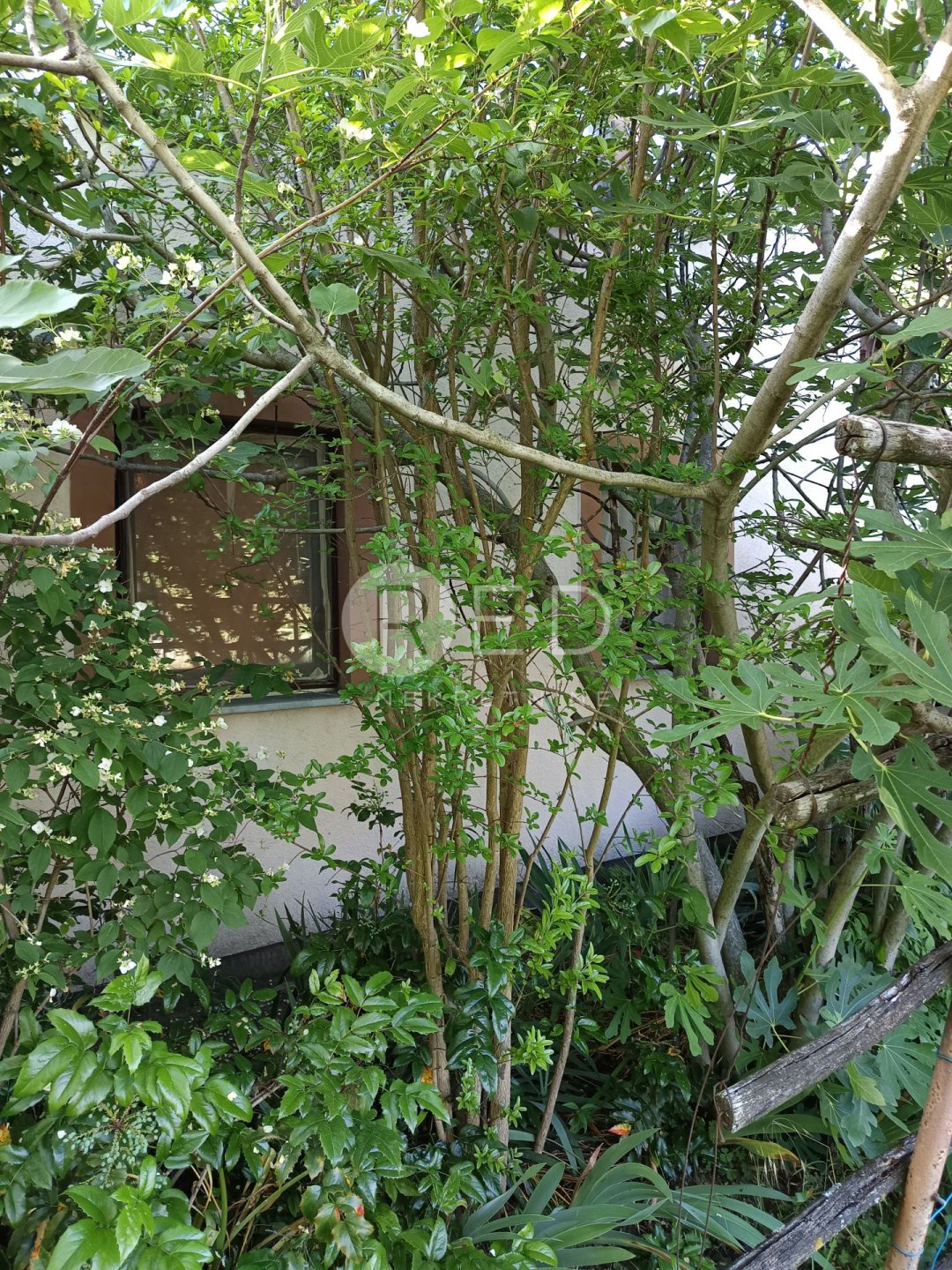 Casa In vendita - Osječko-baranjska Draž