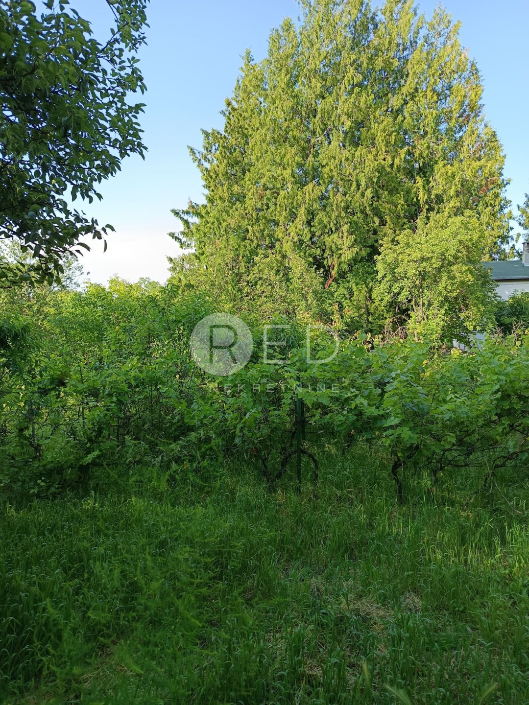 Casa In vendita - Osječko-baranjska Draž