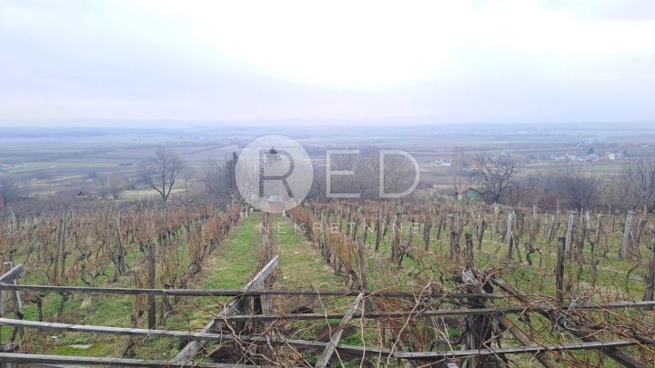 Kuća Na prodaju - Požeško-slavonska Velika - foto 3/14