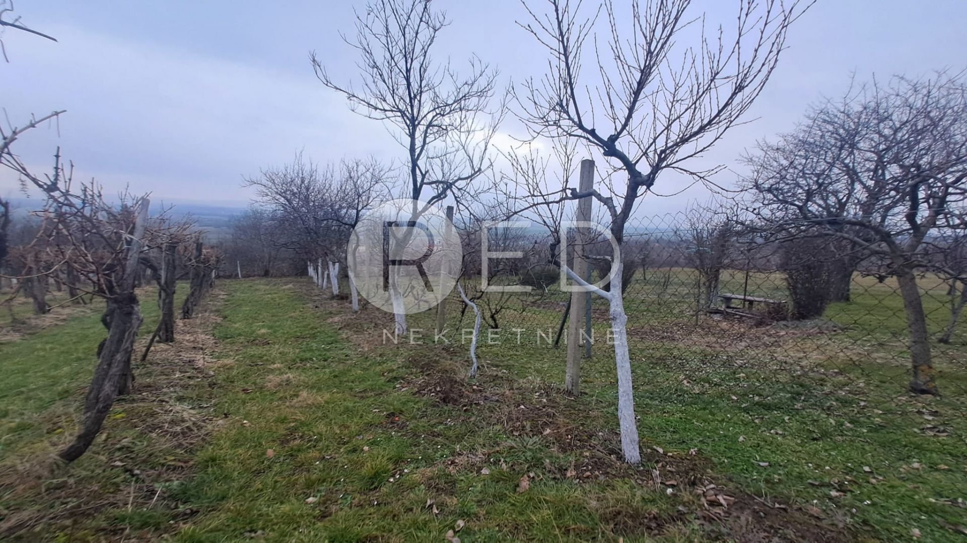 Kuća Na prodaju - Požeško-slavonska Velika