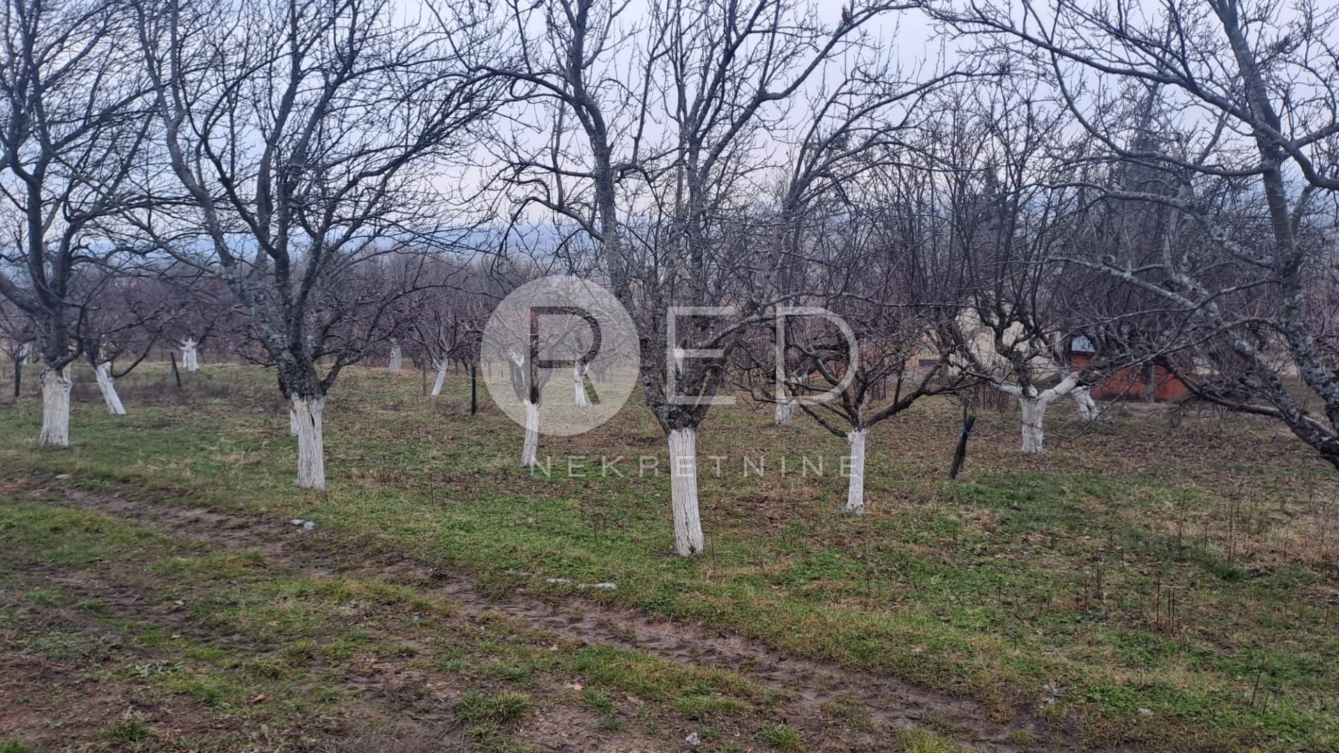 Kuća Na prodaju - Požeško-slavonska Velika