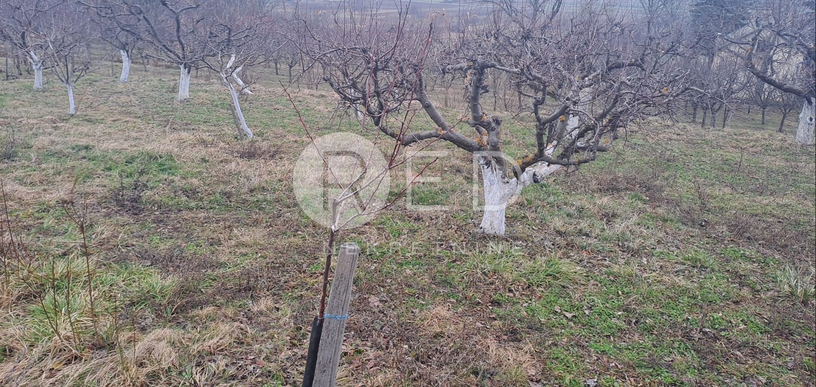 Kuća Na prodaju - Požeško-slavonska Velika