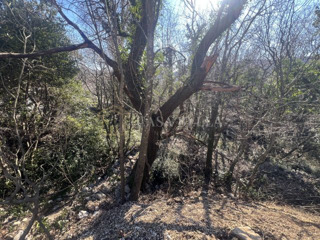 Zemljište Na prodaju - Primorsko-goranska Grižane-belgrad - foto 3/5