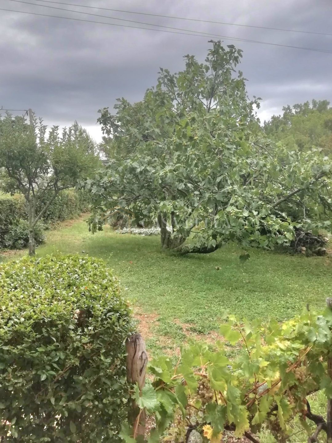 Hiša Naprodaj - Primorsko-goranska Grižane-Belgrad
