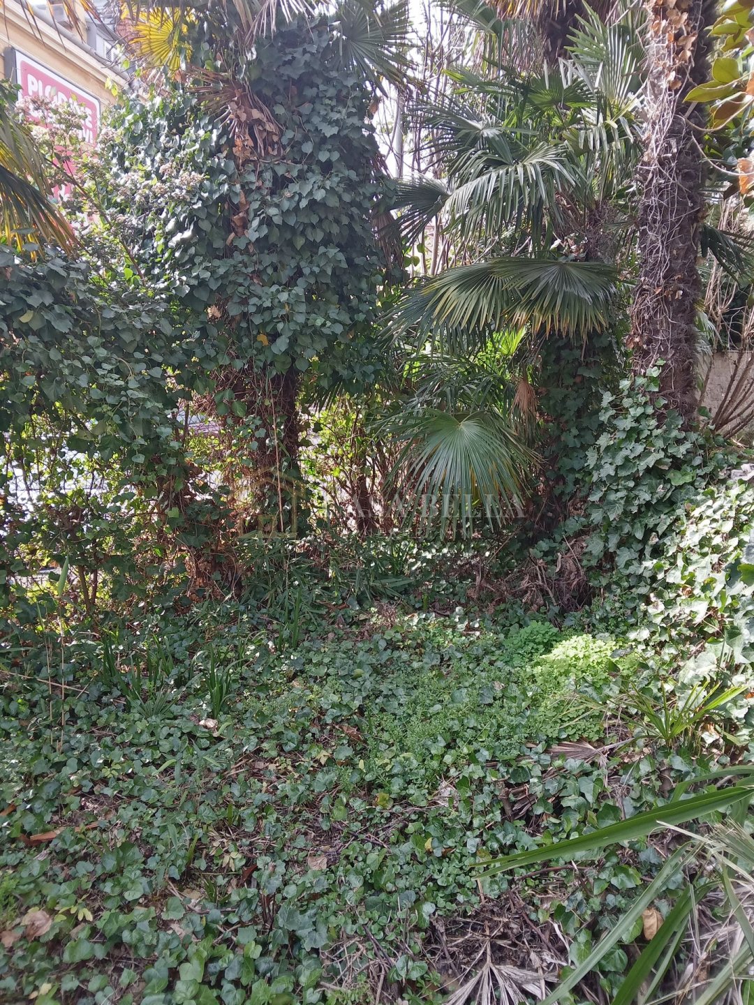 Apartma Naprodaj - Primorsko-goranska Opatija - Centar