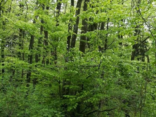 Parcela Naprodaj - Primorsko-goranska Fužine - foto 4/4