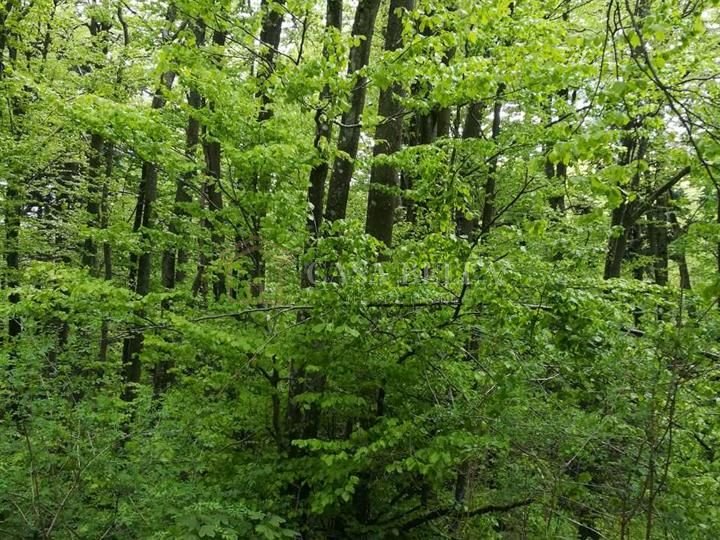 Parcela Naprodaj - Primorsko-goranska Fužine