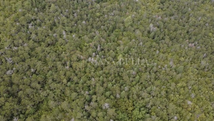 Terreno In vendita - Primorsko-goranska Jadranovo - foto 3/11