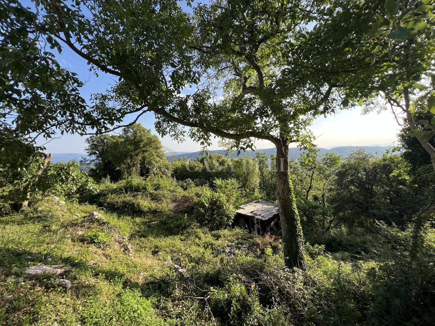 Zemljište Na prodaju - Primorsko-goranska Grižane-belgrad - foto 1/5