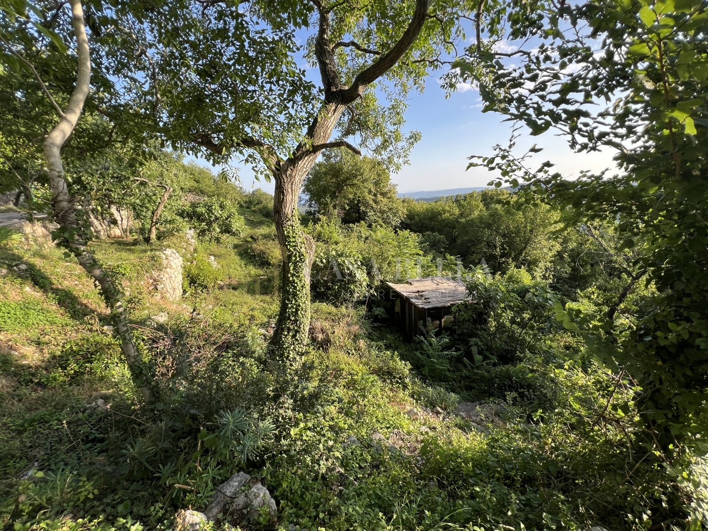 Zemljište Na prodaju - Primorsko-goranska Grižane-Belgrad