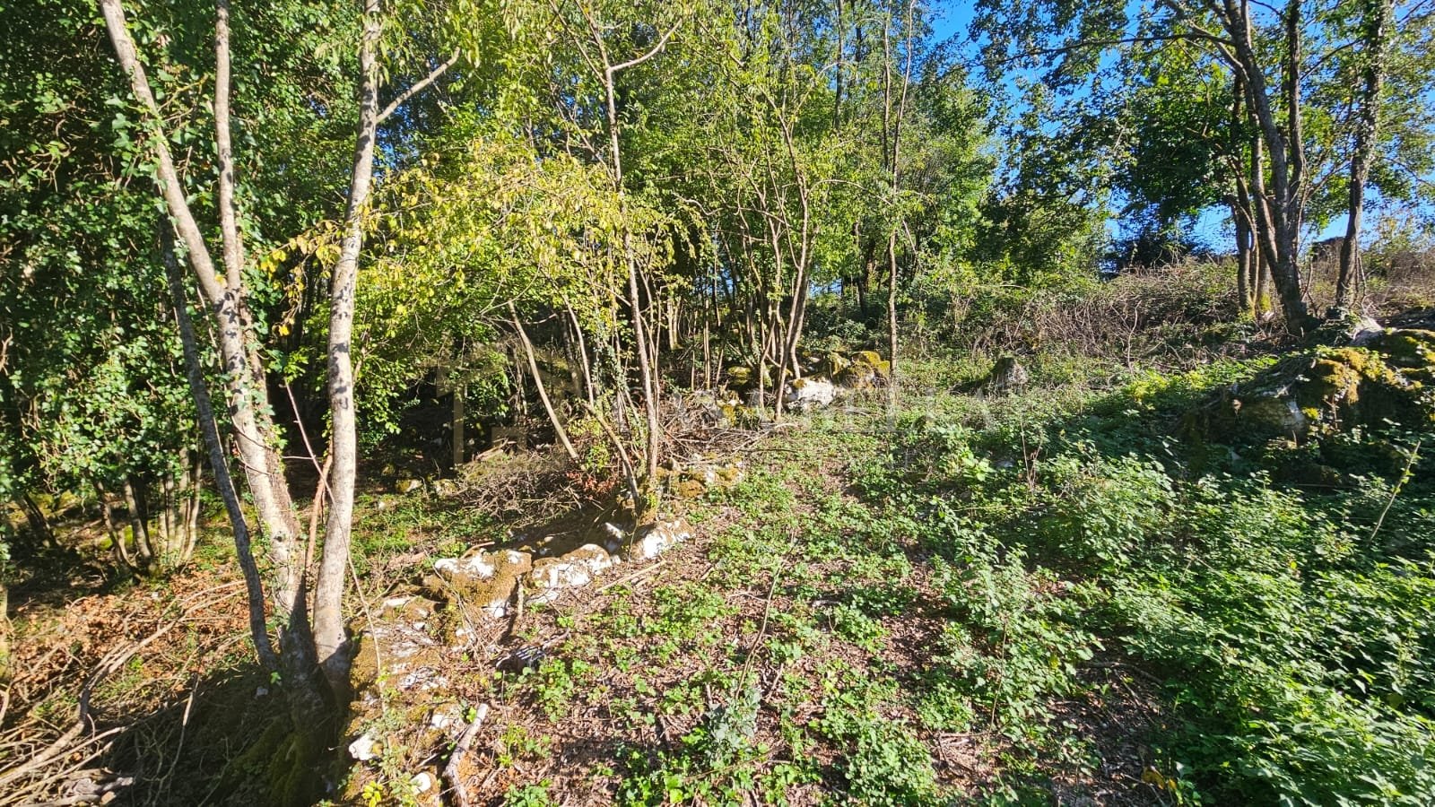 Zemljište Na prodaju - Primorsko-goranska Veli Brgud - foto 1/2