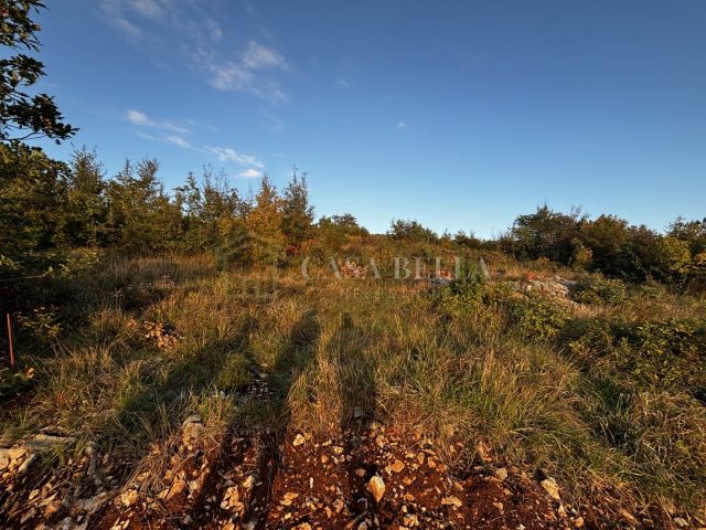 Terrain À vendre - Primorsko-goranska Crikvenica - foto 4/15