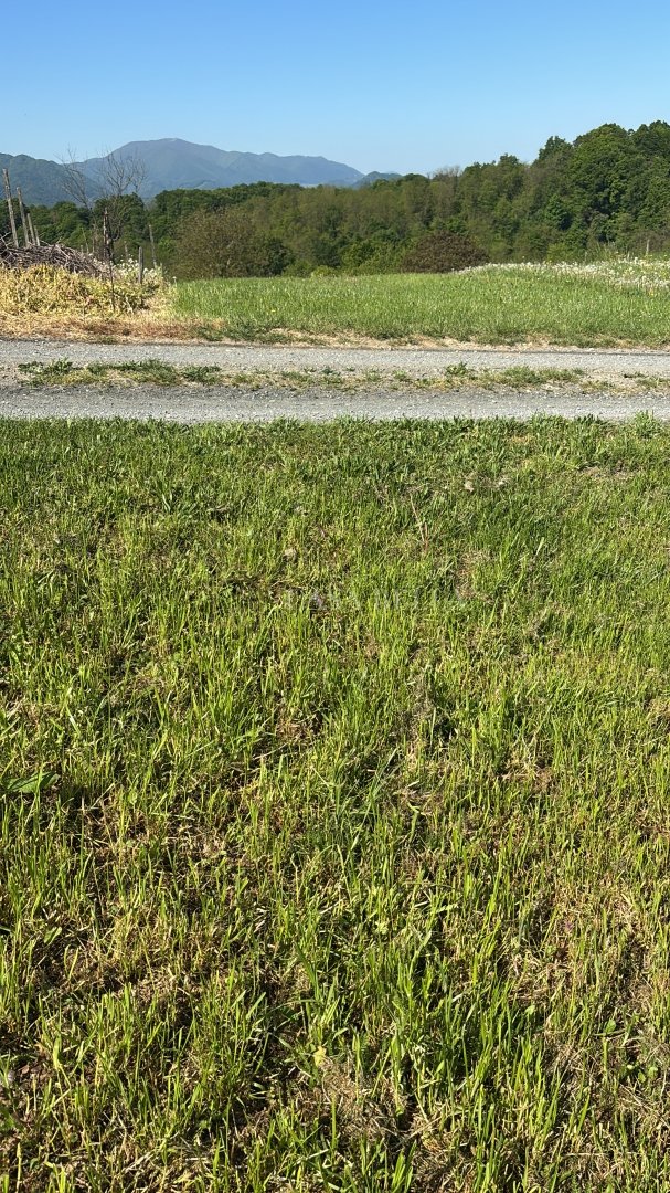 Terreno In vendita - Varaždinska Beletinec