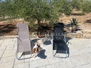 House For sale - Primorsko-goranska Krk