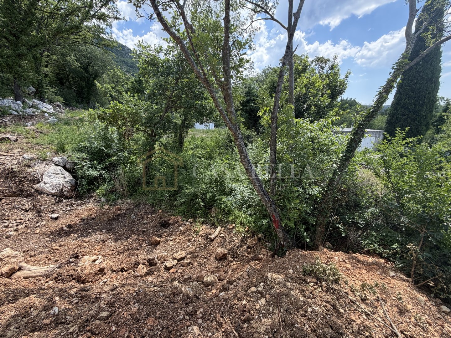 Zemljište Na prodaju - Primorsko-goranska Grižane-Belgrad