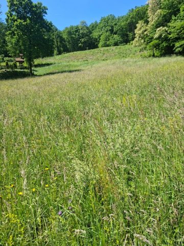 Terrain à vendre 5582 m² – Marija Bistrica
