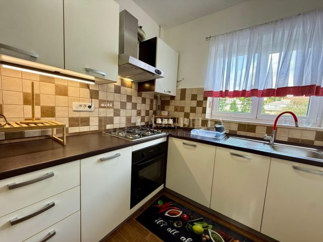 Apartmán Na prenájom - Primorsko-goranska Donja Vežica - foto 4/14