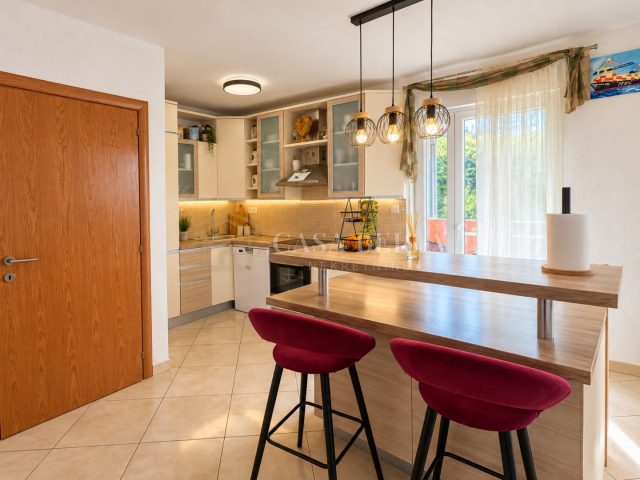 Apartma Naprodaj - Primorsko-goranska Marinići - foto 4/33