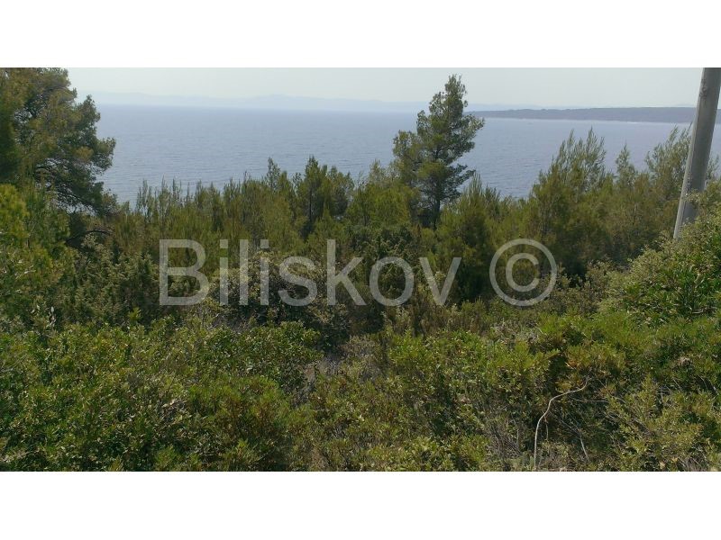 Land For sale - SPLITSKO-DALMATINSKA  HVAR 