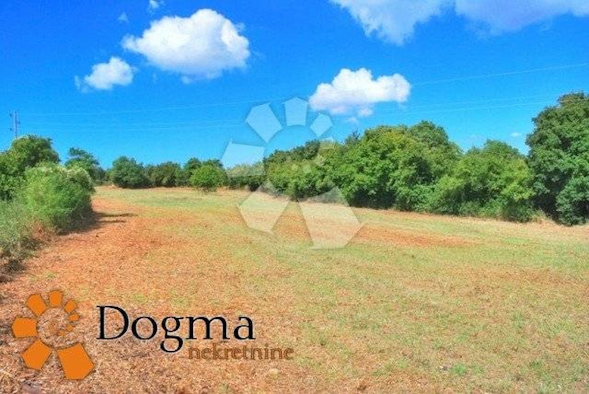 Land For sale - ISTARSKA  LIŽNJAN 