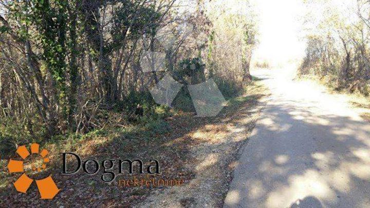 Land for sale 70000 m² – Labin