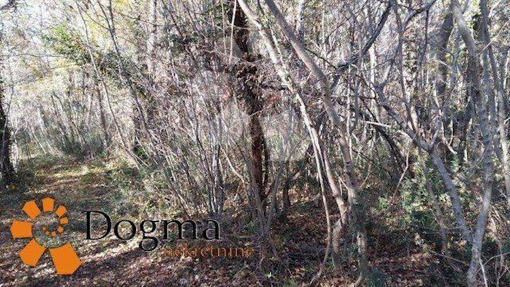 Land For sale - Istarska Labin - foto 3/3