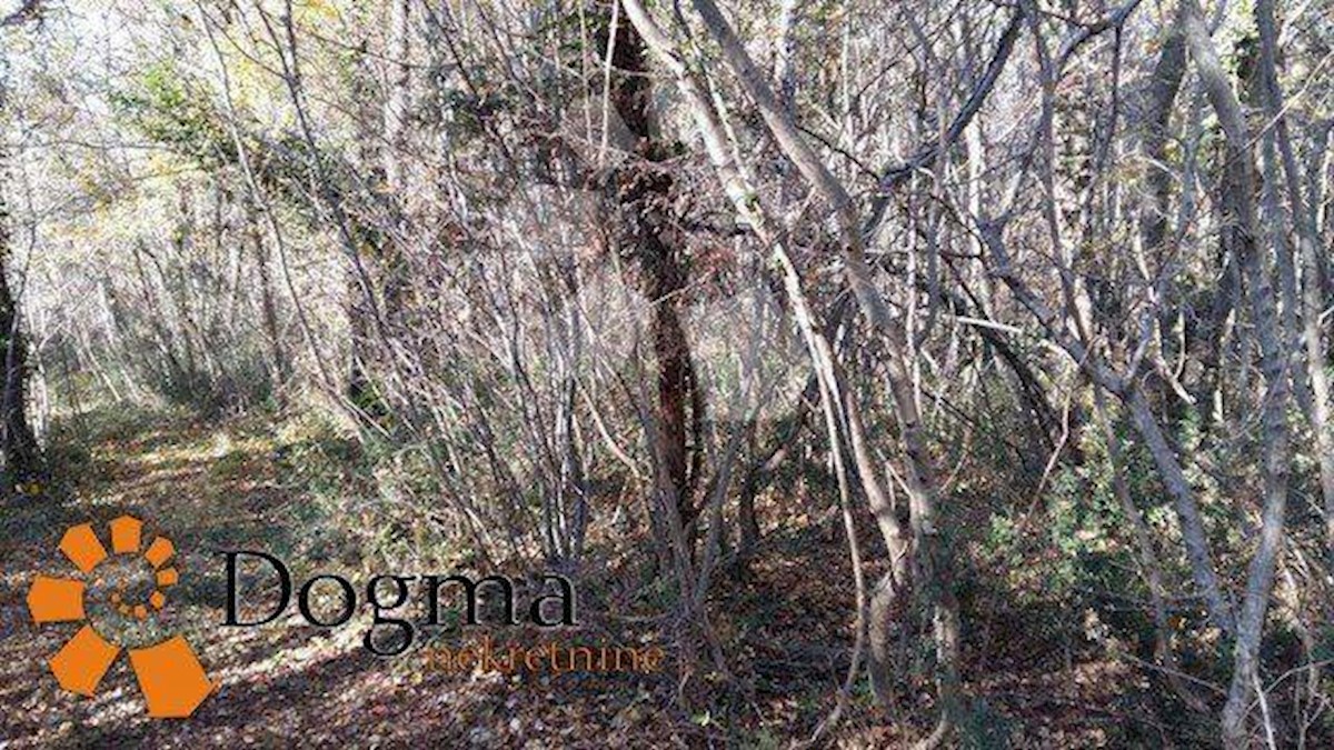 Land For sale - ISTARSKA  Labin