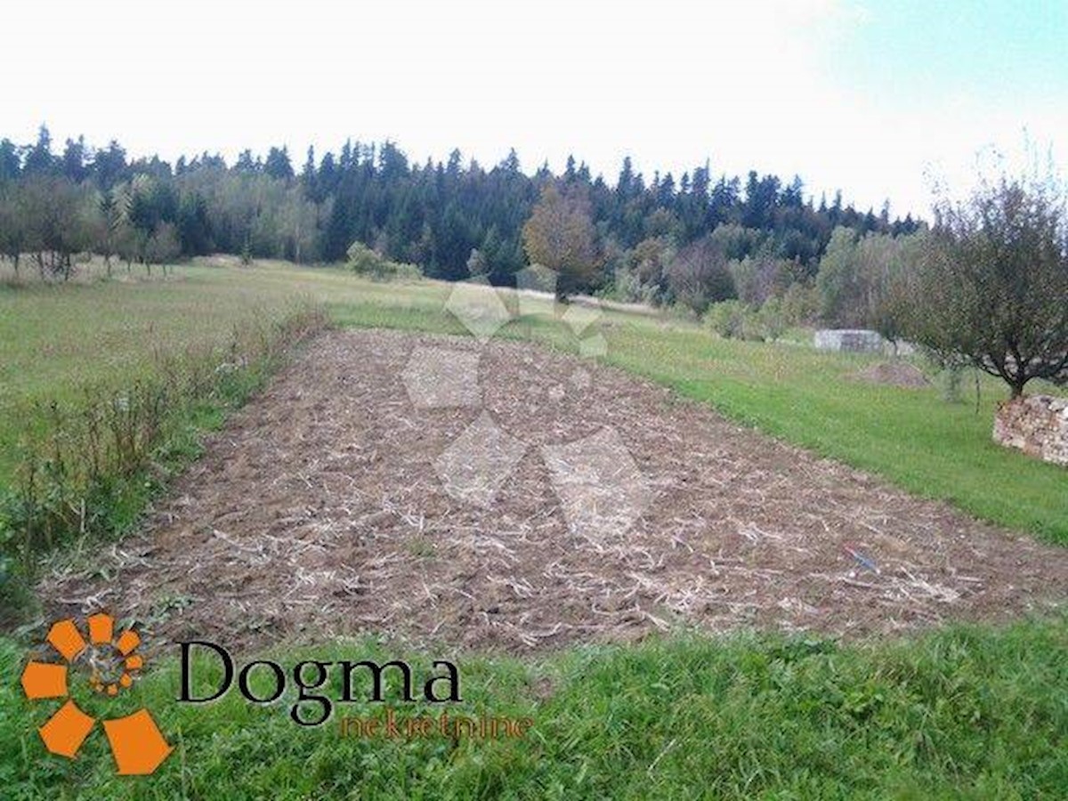 Land For sale - PRIMORSKO-GORANSKA  RAVNA GORA 