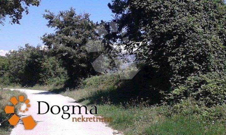 Land for sale 56000 m² – Ripenda Kras