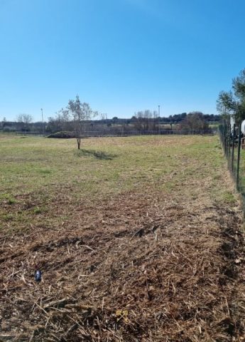 Terreno in vendita 890 m² – Pula