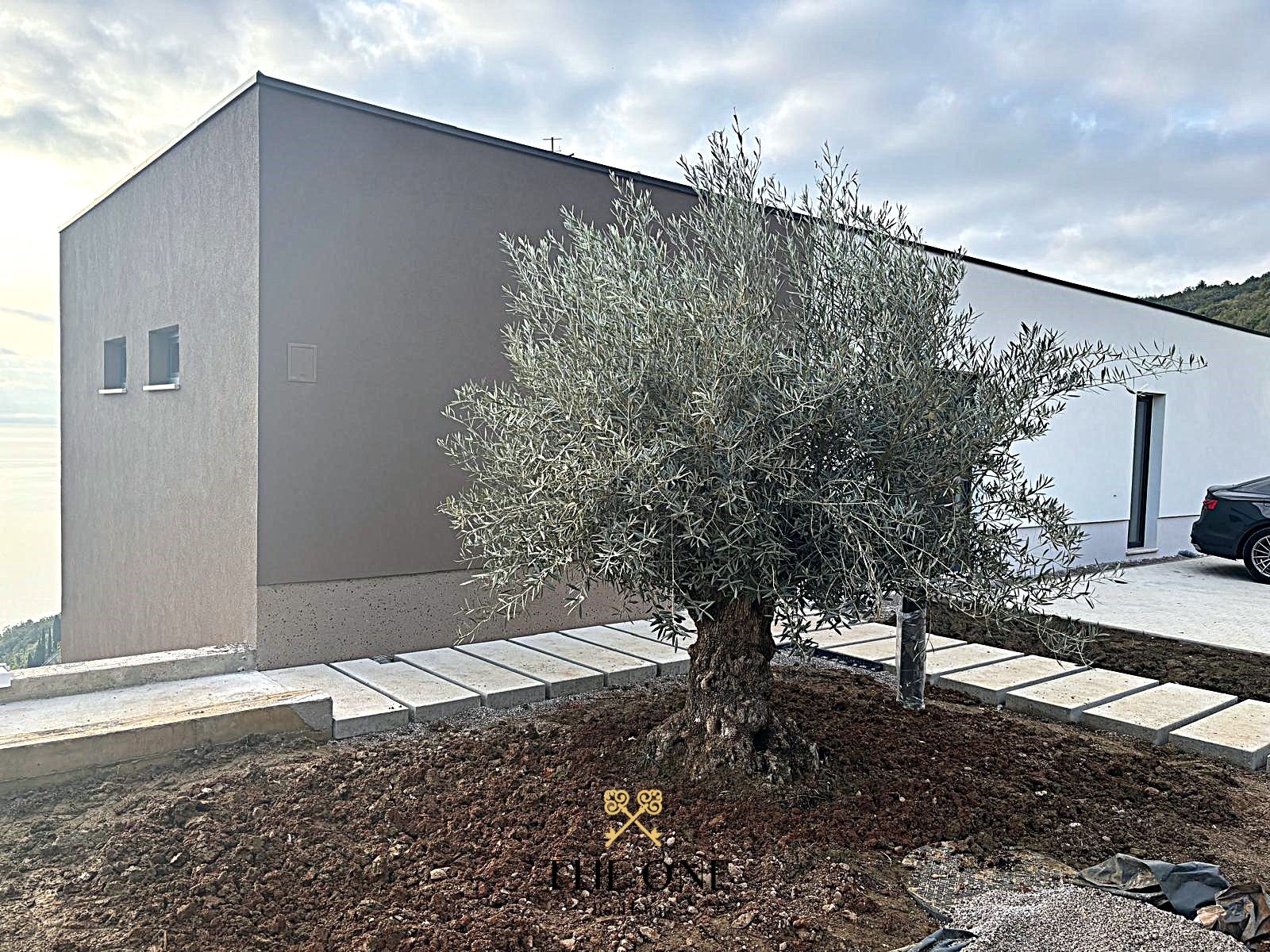 House For sale -  Medveja