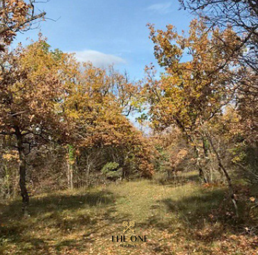 Terrain À vendre - šibensko-kninska Drniš - foto 5/10