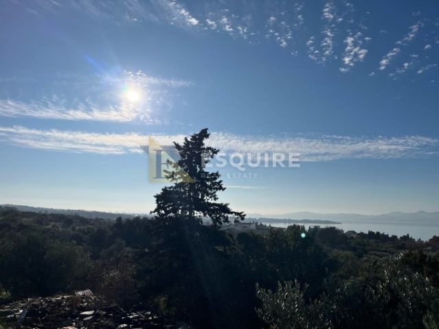 Land For sale - Zadarska Diklo - foto 2/2
