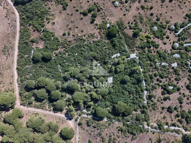 Terrain À vendre - Zadarska Diklo - foto 4/6