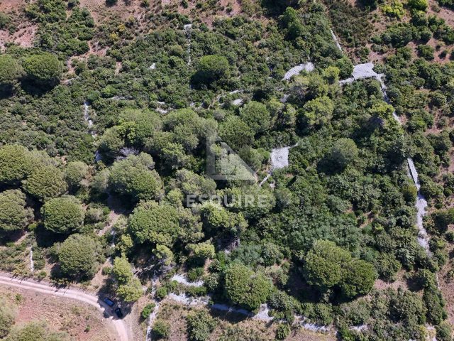 Terrain À vendre - Zadarska Diklo - foto 5/6