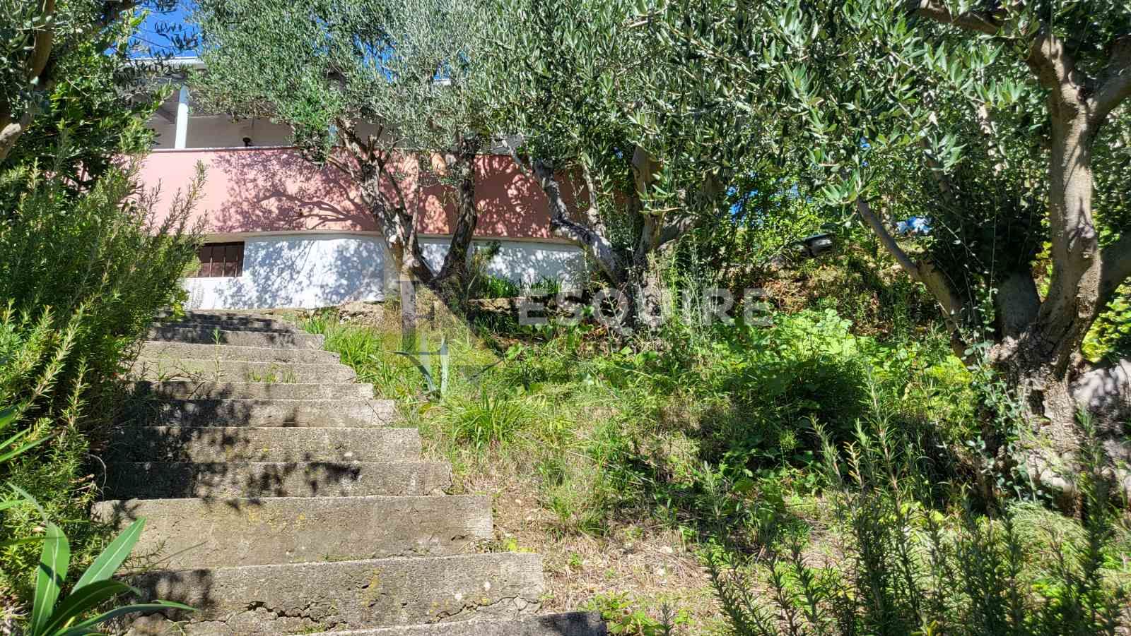 House For sale -  Rtina