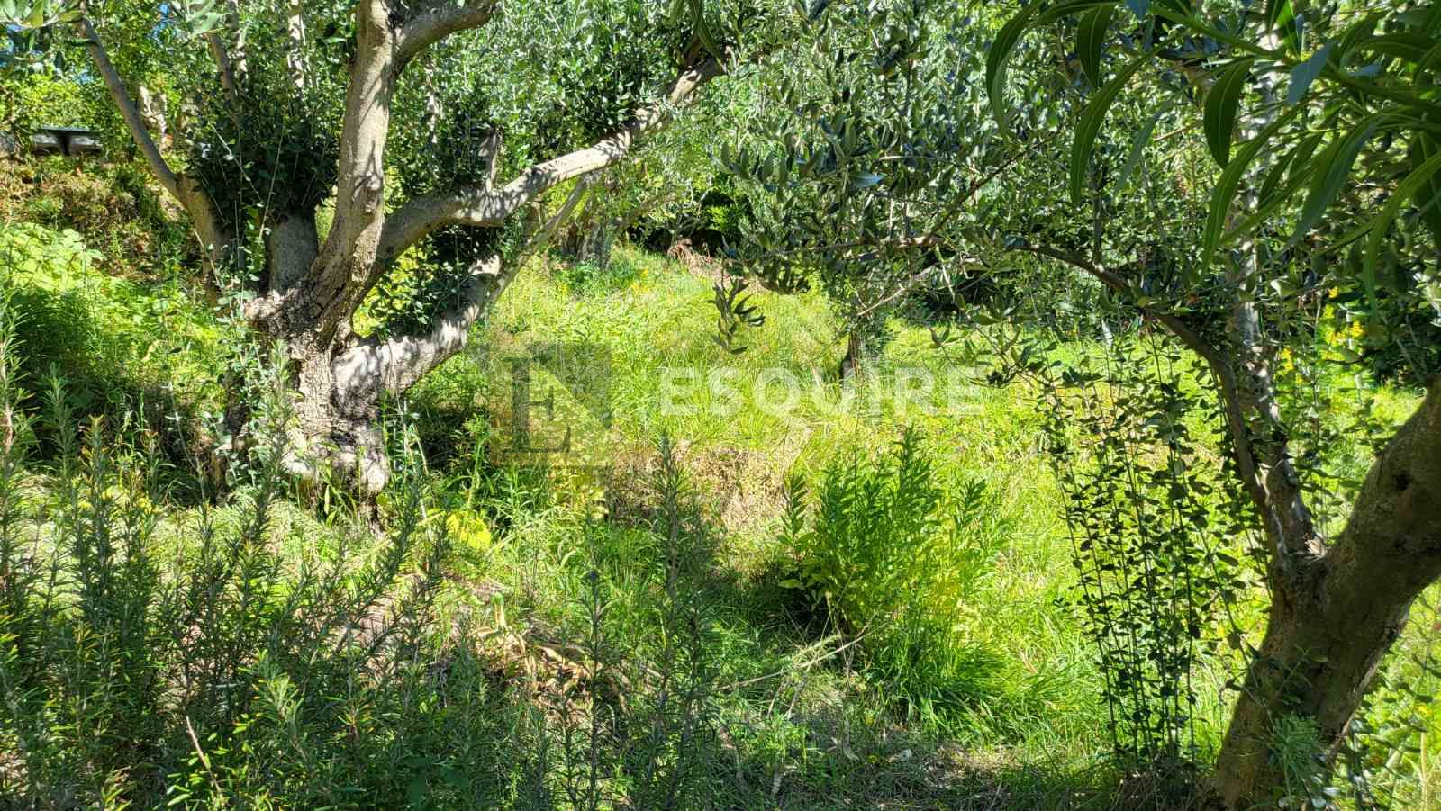 House For sale -  Rtina