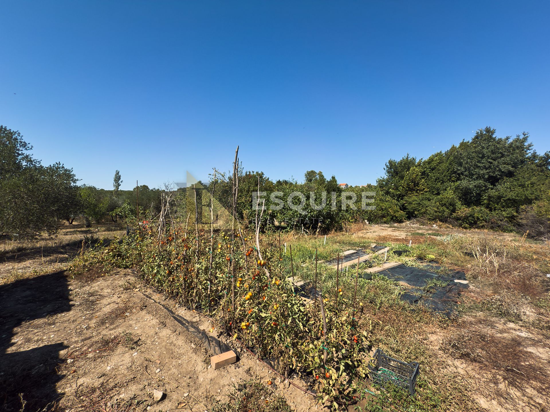 Terreno In vendita -  Diklo